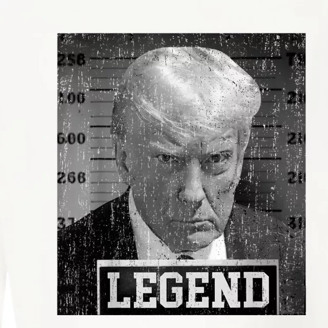 Trump Never Surrender Donald Trump Mugshot 2024 Cropped Pullover Crew