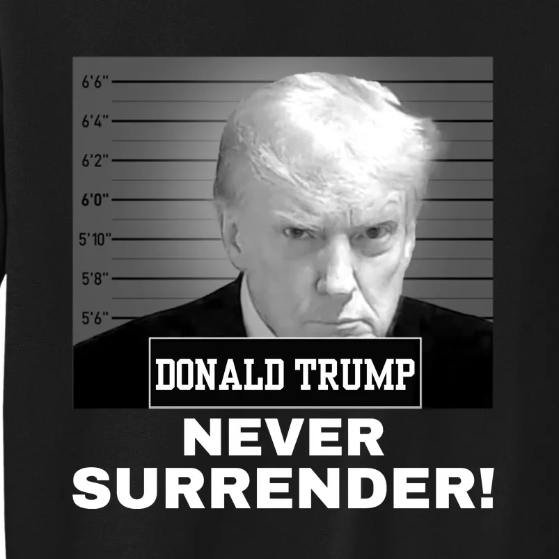 Trump Never Surrender 2024 Mugshot Sweatshirt