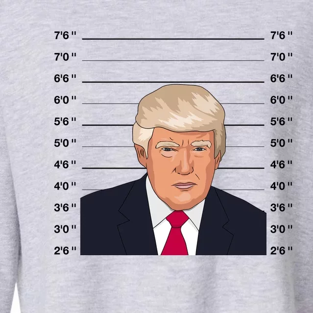 Trump Never Surrender Donald Trump Mugshot 2024 Cropped Pullover Crew