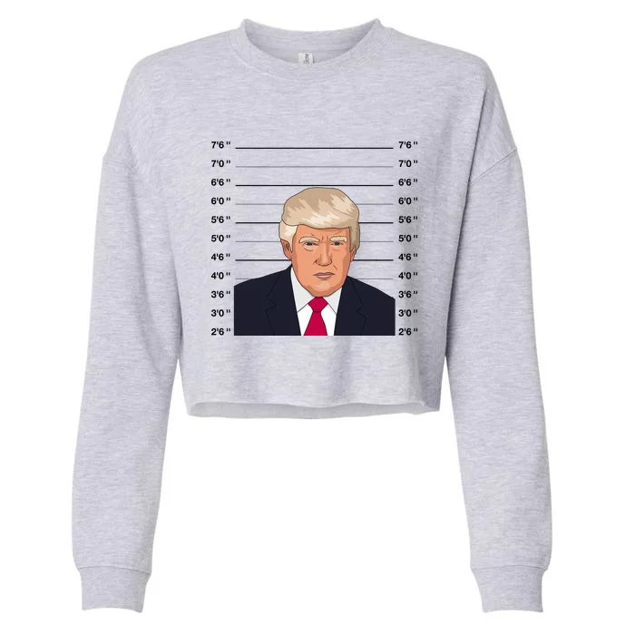 Trump Never Surrender Donald Trump Mugshot 2024 Cropped Pullover Crew