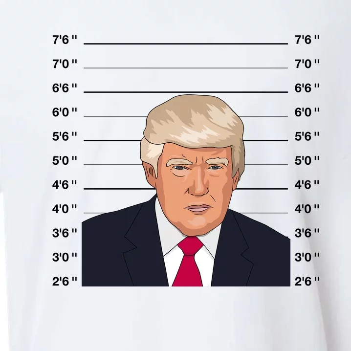 Trump Never Surrender Donald Trump Mugshot 2024 Sueded Cloud Jersey T-Shirt