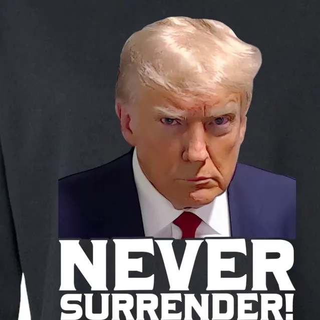 Trump Never Surrender Donald Trump Mugshot Trump 2024 Cropped Pullover Crew