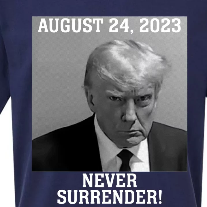 Trump Never Surrender Donald Trump Mugshot Trump 2024 Sueded Cloud Jersey T-Shirt