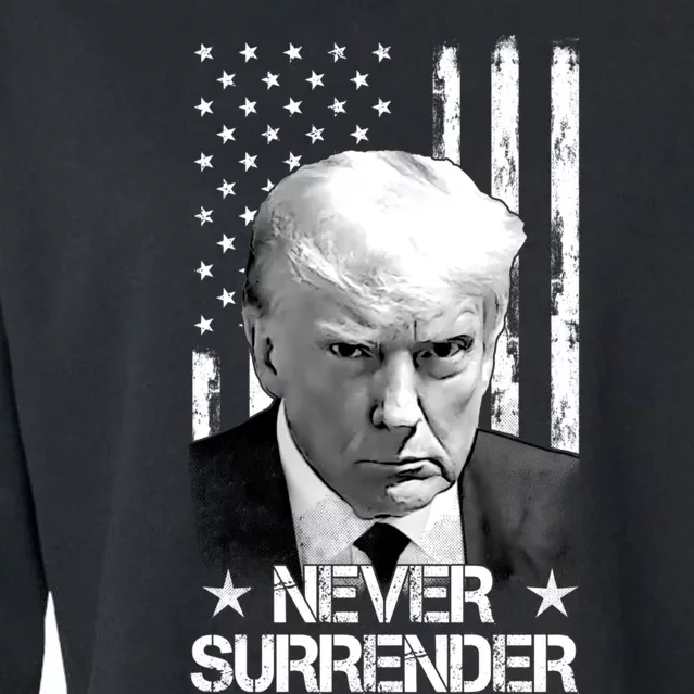 Trump Never Surrender Donald Trump Mugshot Trump 2024 Cropped Pullover Crew