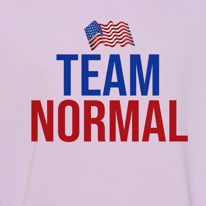 Team Normal United States Flag Patriotic Garment-Dyed Sweatshirt