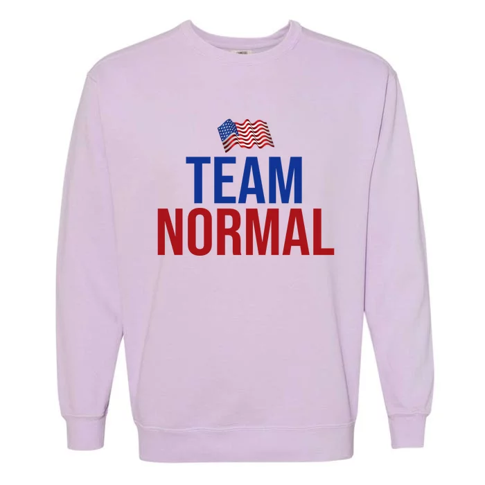 Team Normal United States Flag Patriotic Garment-Dyed Sweatshirt