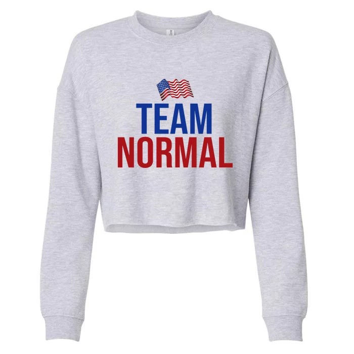 Team Normal United States Flag Patriotic Cropped Pullover Crew