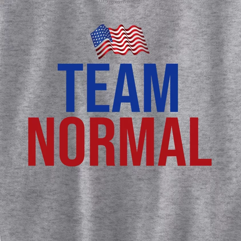 Team Normal United States Flag Patriotic Kids Sweatshirt