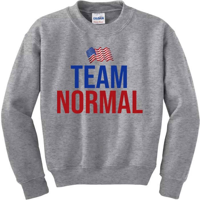 Team Normal United States Flag Patriotic Kids Sweatshirt