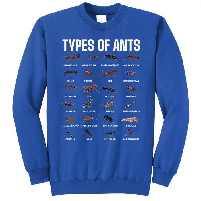 Types Of Ants For Ant Keeper Lovers Tall Sweatshirt