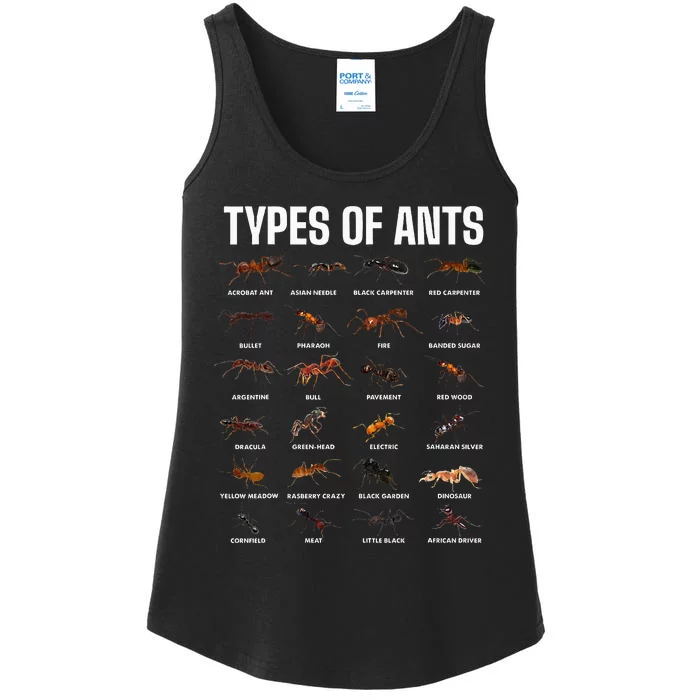 Types Of Ants For Ant Keeper Lovers Ladies Essential Tank