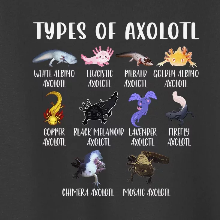 Types of Axolotl Shirt Cute Different Species of Axolotls Toddler T-Shirt