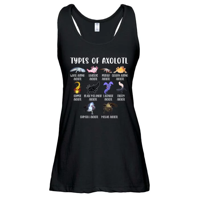 Types Of Axolotl Art Cute Different Species Of Axolotl Ladies Essential Flowy Tank