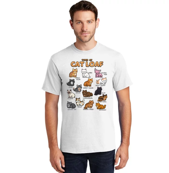 Types Of Cat Loaf Cute Kitten Kawaii Cats Tall T-Shirt