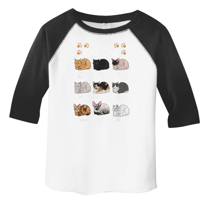 Types Of Cat Loaf Cats Kitty Kitten Cat Lover Cat Mom Dad Toddler Fine Jersey T-Shirt