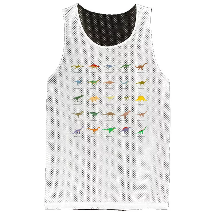 Types Of Dinosaurs For And Mesh Reversible Basketball Jersey Tank