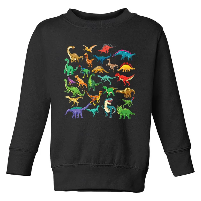 Types Of Dinosaurs Graphics Dino Identification Toddler Sweatshirt