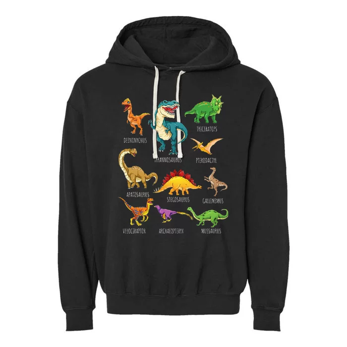 Types Of Dinosaurs Graphics Dino Identification Garment-Dyed Fleece Hoodie