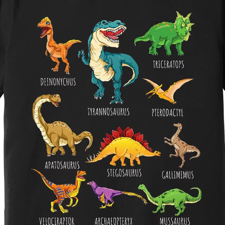 Types Of Dinosaurs Graphics Dino Identification Premium T-Shirt