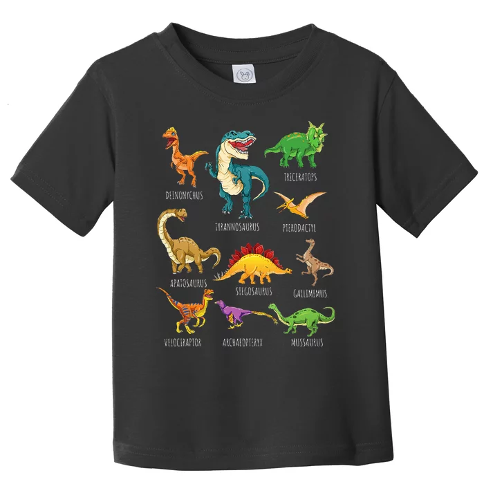 Types Of Dinosaurs Graphics Dino Identification Toddler T-Shirt