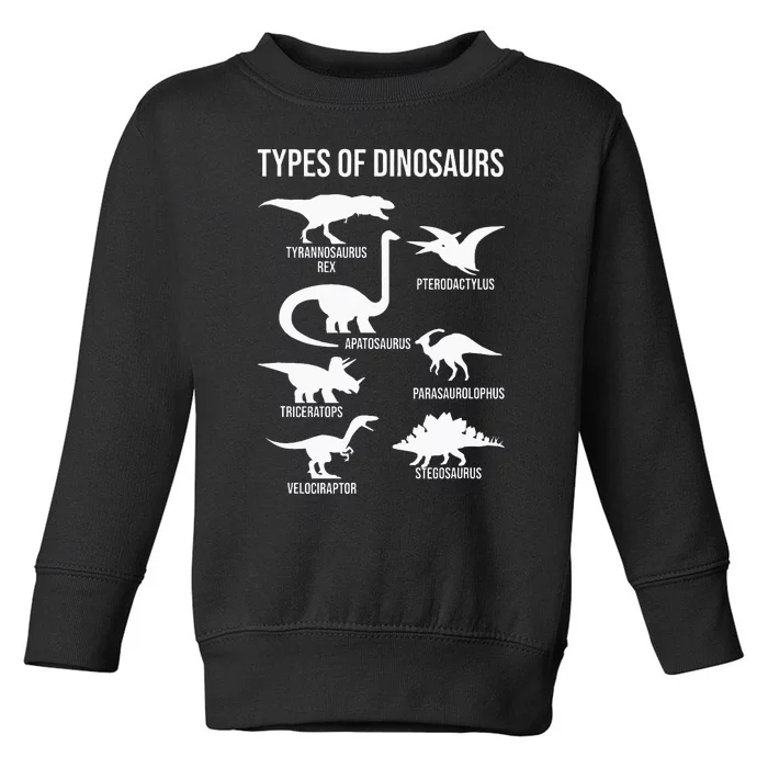 Types Of Dinosaurs  Dinosaur Lover Toddler Sweatshirt