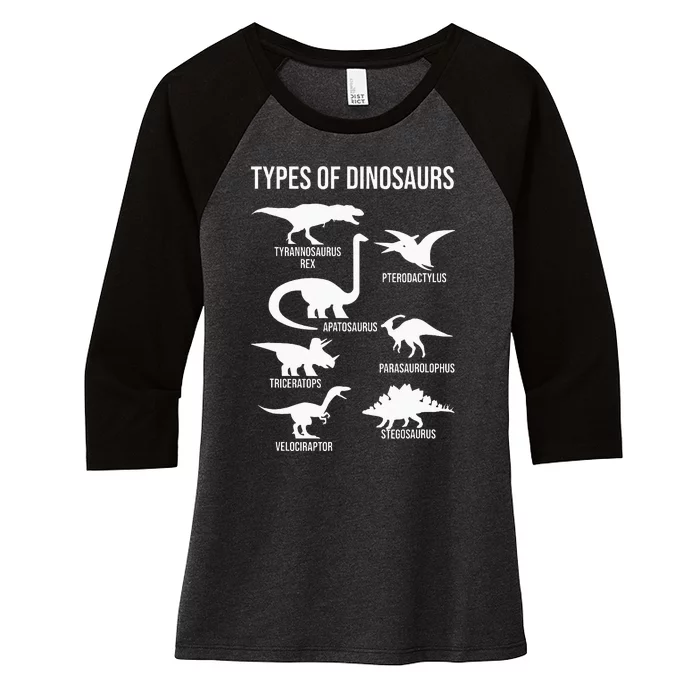 Types Of Dinosaurs  Dinosaur Lover Women's Tri-Blend 3/4-Sleeve Raglan Shirt