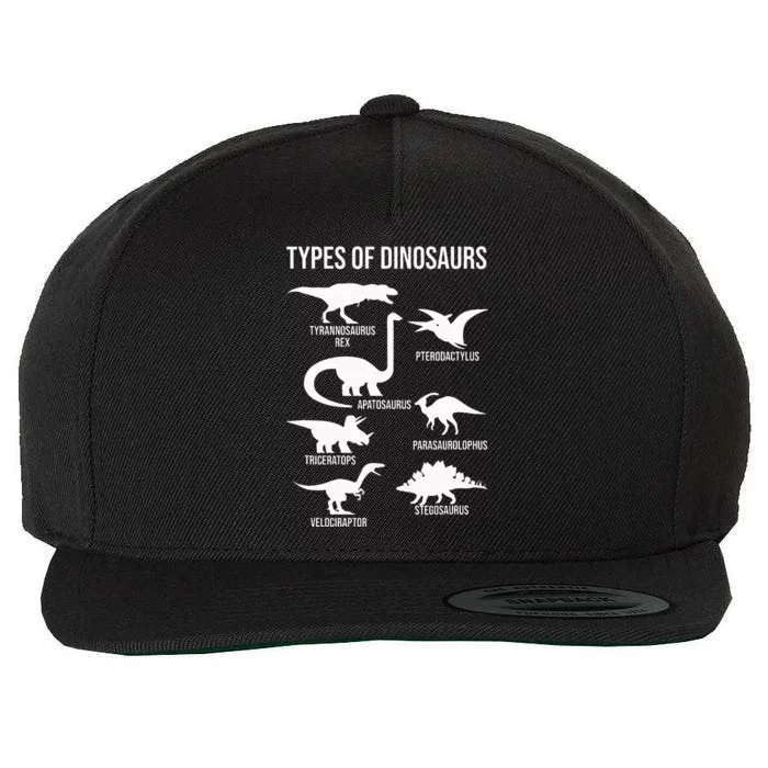 Types Of Dinosaurs  Dinosaur Lover Wool Snapback Cap