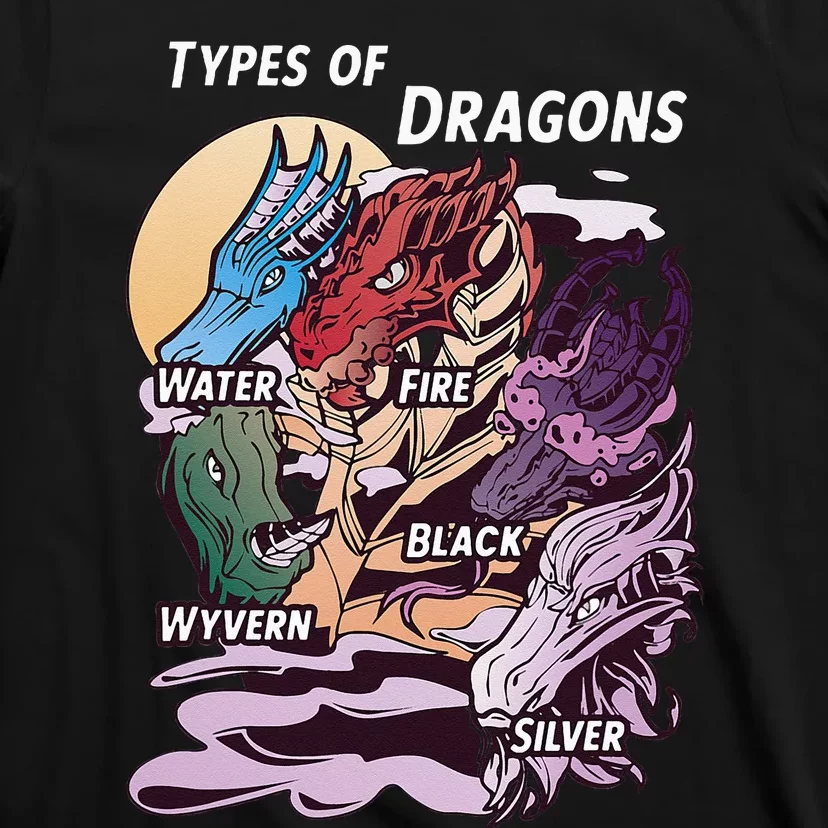 Types Of Dragons Funny Dragon Lover Gifts For Girls T-Shirt