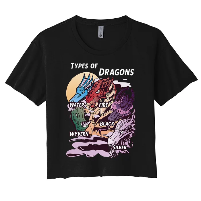 Types Of Dragons Funny Dragon Lover Gifts For Girls Women's Crop Top Tee