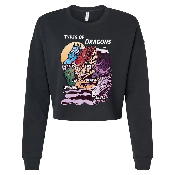 Types Of Dragons Funny Dragon Lover Gifts For Girls Cropped Pullover Crew