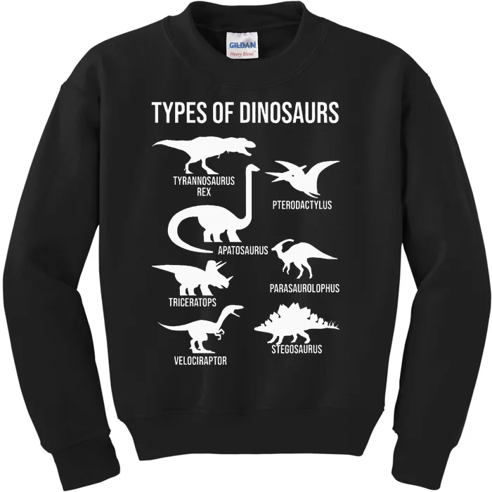 Types Of Dinosaurs Dinosaur Lover Kids Sweatshirt