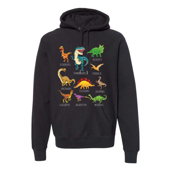 Types Of Dinosaurs Graphics Dino Identification Premium Hoodie