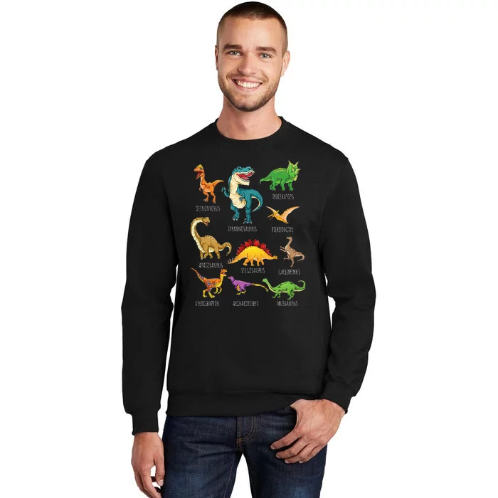 Types Of Dinosaurs Graphics Dino Identification Tall Sweatshirt