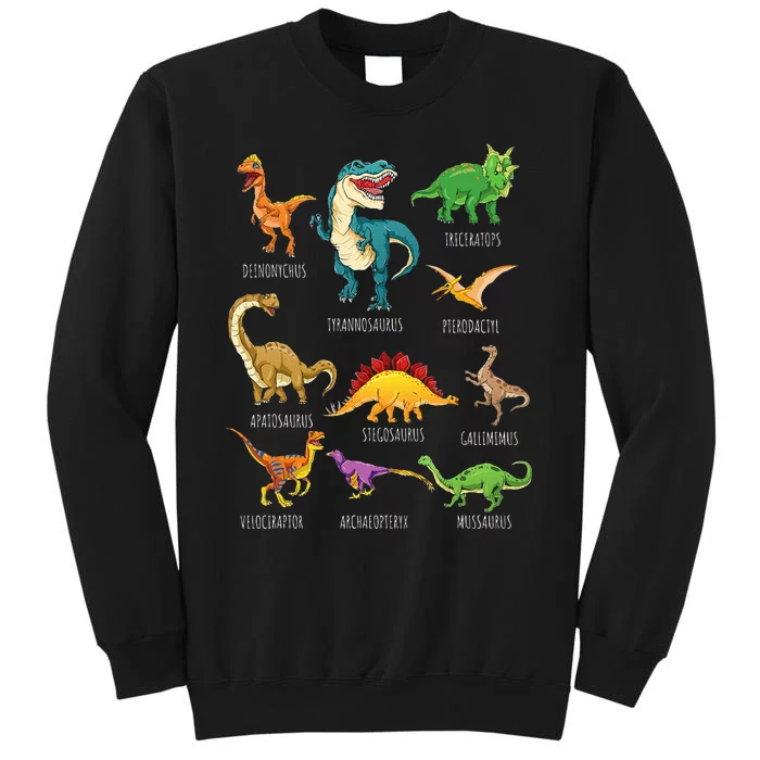 Types Of Dinosaurs Graphics Dino Identification Tall Sweatshirt