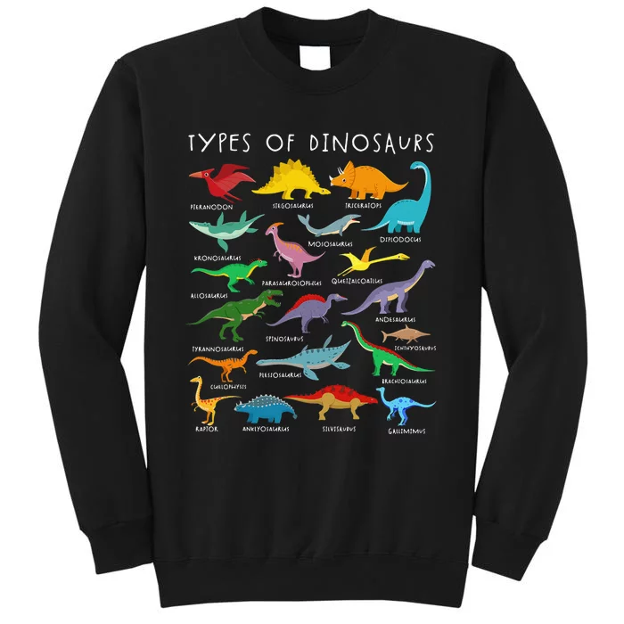 Types Of Dinosaurs Alphabet A-Z ABC Dino Identification Tall Sweatshirt