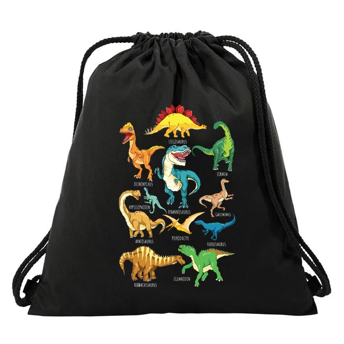 Types Of Dinosaurs Graphics Dino Identification Drawstring Bag