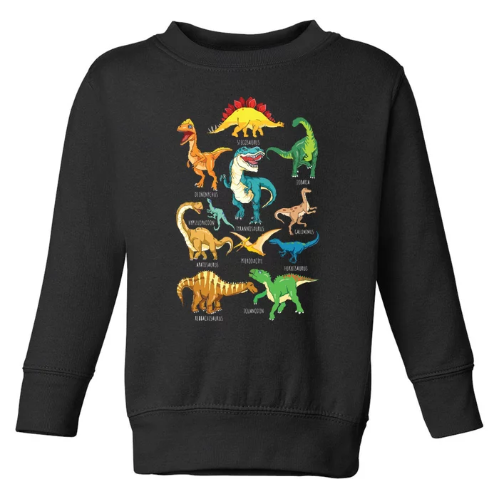 Types Of Dinosaurs Graphics Dino Identification Toddler Sweatshirt