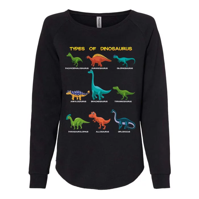 Types Of Dinosaur Dino And Kids Dino Pedia Great Gift Womens California Wash Sweatshirt