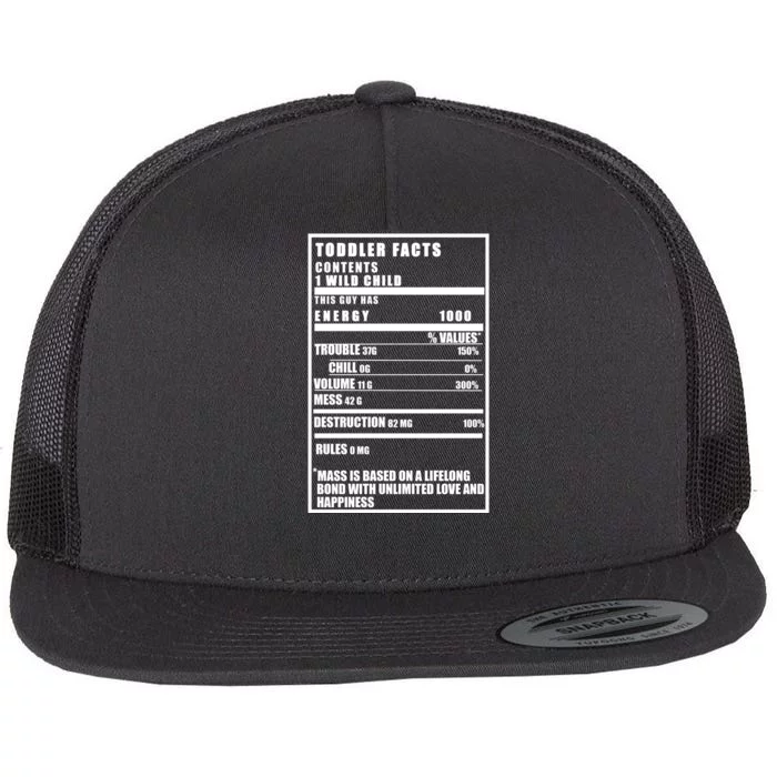 Toddler Nutrients Facts Flat Bill Trucker Hat