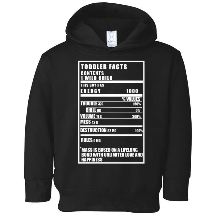 Toddler Nutrients Facts Toddler Hoodie