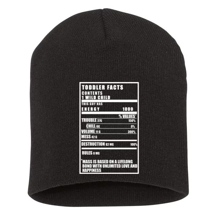 Toddler Nutrients Facts Short Acrylic Beanie