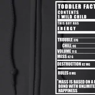 Toddler Nutrients Facts Full Zip Hoodie