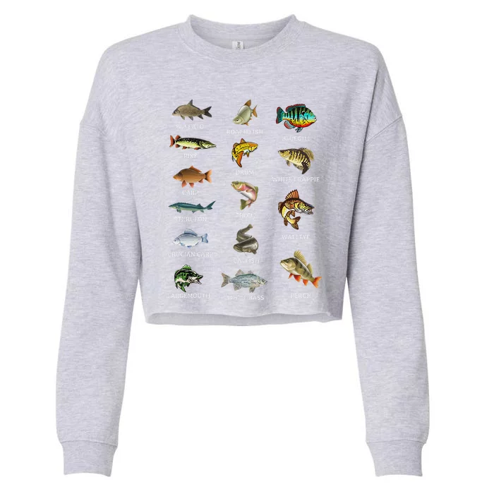 Types Of Freshwater Fish Species Fishing Fisherman Anglers Cropped Pullover Crew