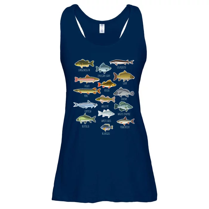 Types Of Freshwater Fish Species Fishing Ladies Essential Flowy Tank