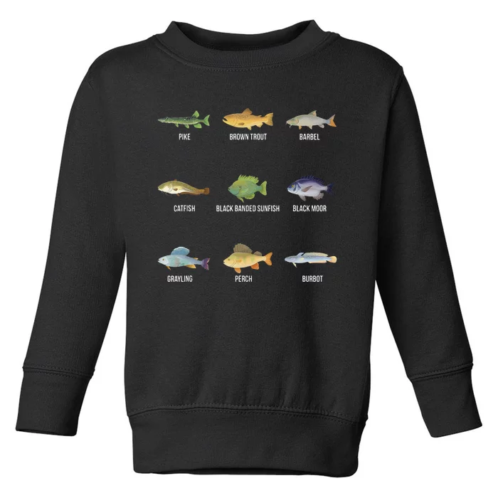 Types Of Freshwater Fish Species Funny Fishing Gifts Toddler Sweatshirt