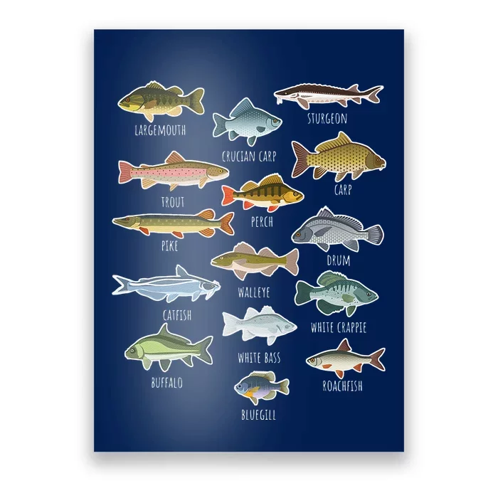 Types Of Freshwater Fish Species Fishing Poster