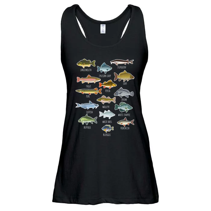 Types Of Freshwater Fish Species Fishing Ladies Essential Flowy Tank