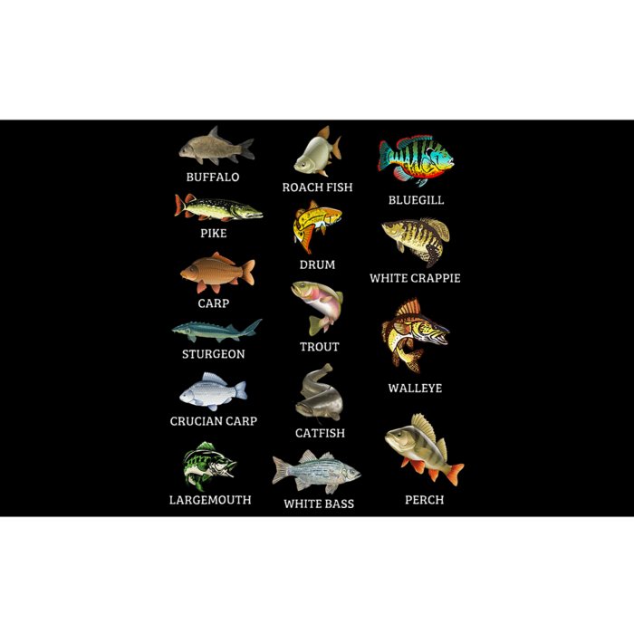 Types Of Freshwater Fish Species Fishing Fisherman Anglers Bumper Sticker