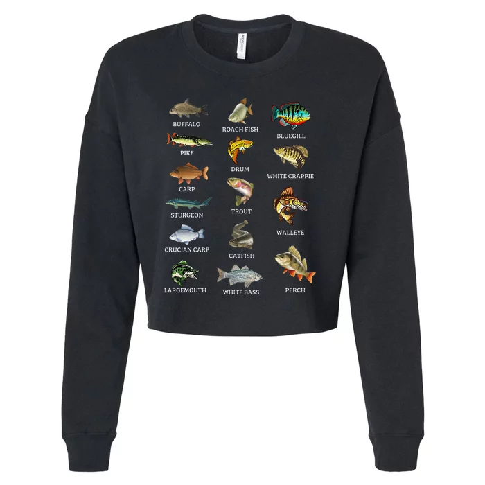 Types Of Freshwater Fish Species Fishing Fisherman Anglers Cropped Pullover Crew