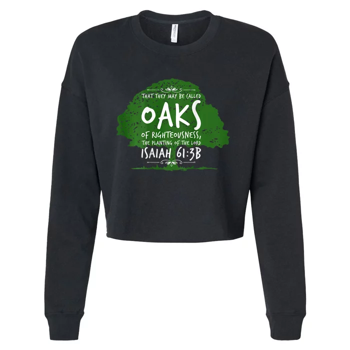 The Oaks Front And Back 2 Cropped Pullover Crew